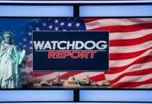 BUSTED: Minnesota’s LATEST Fraud Scheme… Graphic featuring the Statue of Liberty and an American flag with the text 'WATCHDOG REPORT'
